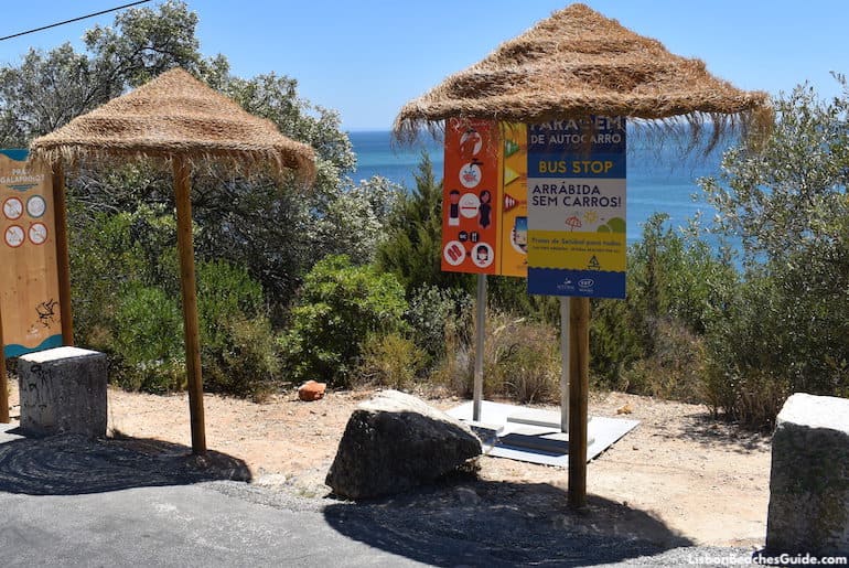 Bus stop for Praia dos Galapinhos Beach, Arrábida