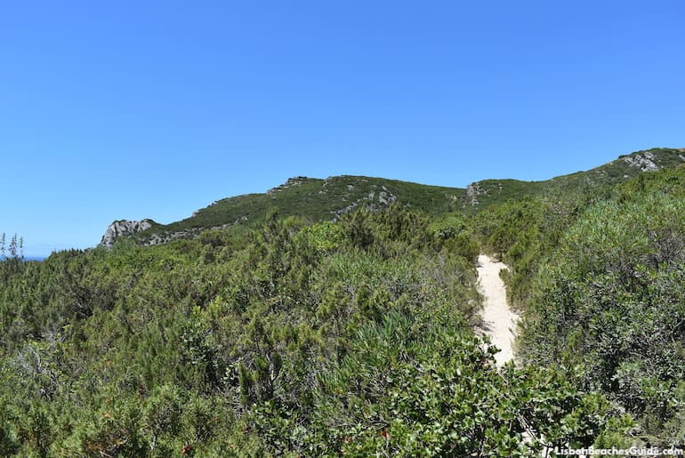 Trail to Ribeiro do Cavalo Beach