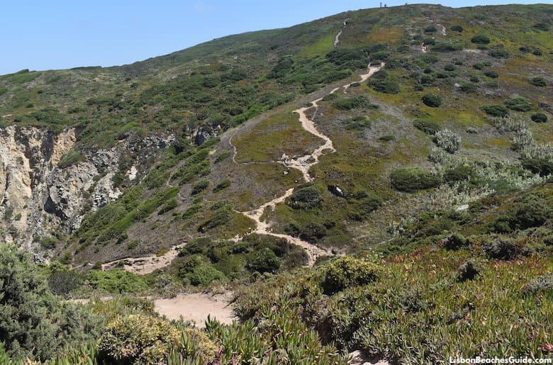 Trail down to Praia da Ursa